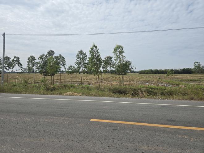 Real Estate from Banks _photo