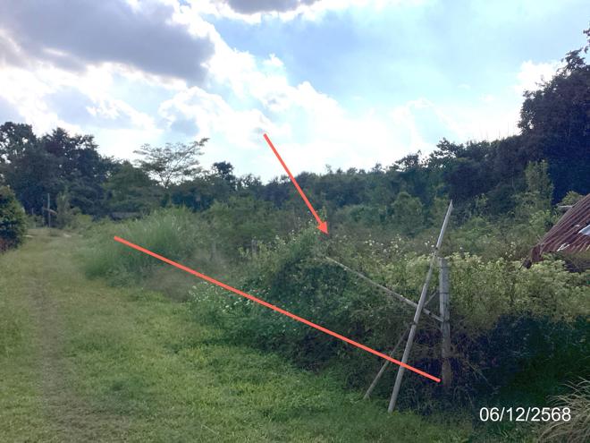 Real Estate from Banks _photo