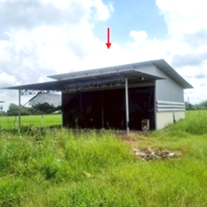 12 โกดัง | สระบุรี เมืองสระบุรี หนองยาว | 12-88-01302