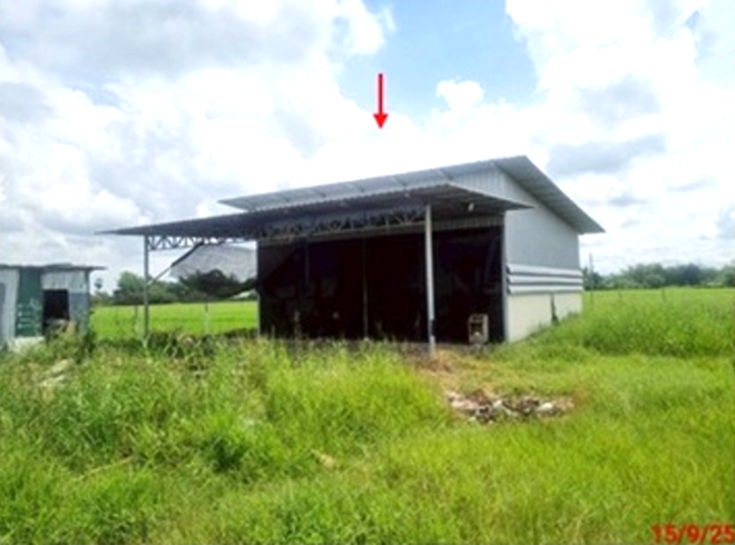 12 โกดัง | สระบุรี เมืองสระบุรี หนองยาว | 12-88-01302