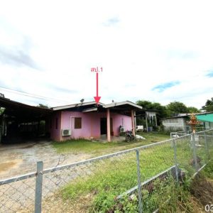 02 บ้านเดี่ยว | ลพบุรี พัฒนานิคม มะนาวหวาน | 02-88-17909