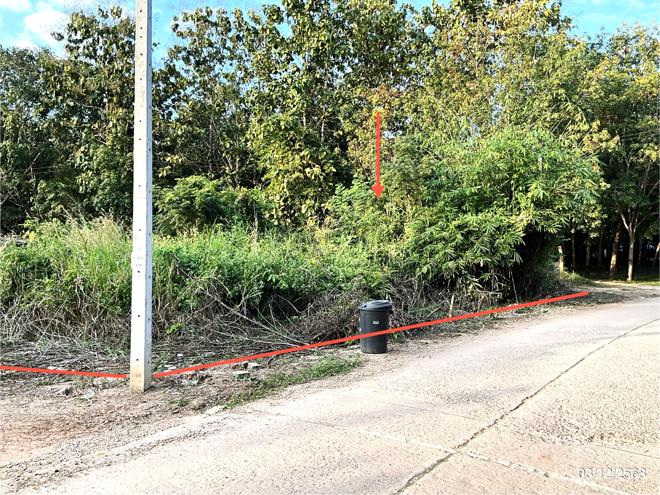 Real Estate from Banks _photo