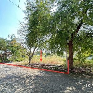 01 ที่ดินว่างเปล่า | สมุทรปราการ บางพลี บางโฉลง | 01-88-12498