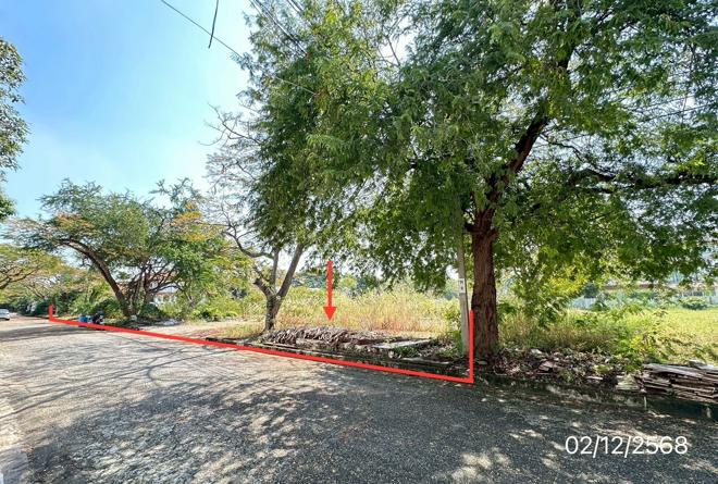 Real Estate from Banks _photo