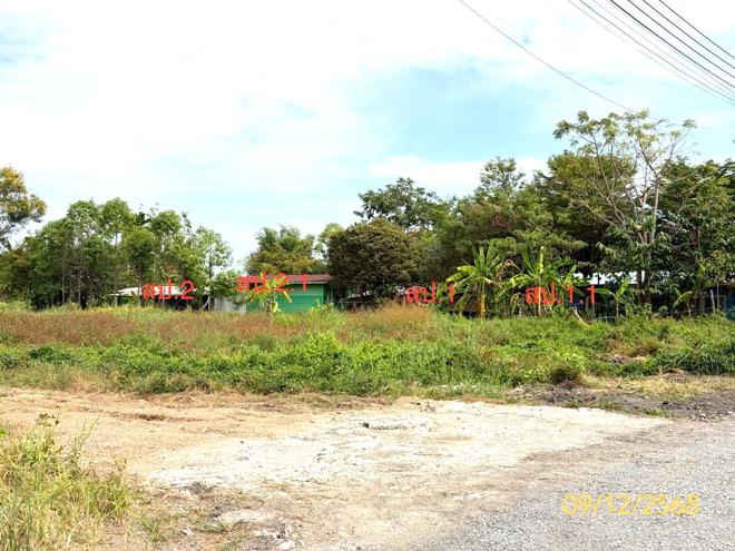 02 บ้านเดี่ยว | ปทุมธานี หนองเสือ หนองสามวัง | 02-88-18053