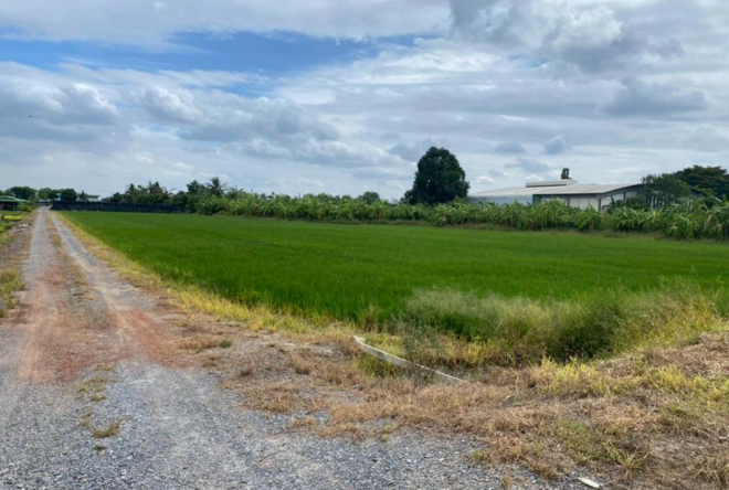 Real Estate from Banks _photo