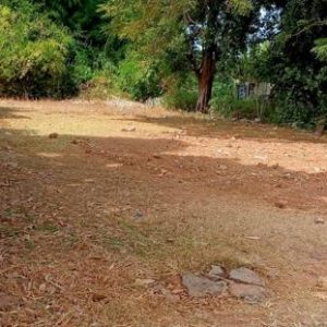 01 ที่ดินว่างเปล่า | สกลนคร อากาศอำนวย โพนแพง | 01-66-02382