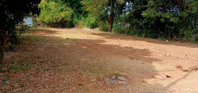 Real Estate from Banks _photo