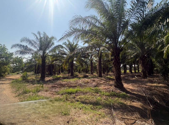 Real Estate from Banks _photo