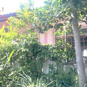 02 บ้านเดี่ยว | อ่างทอง โพธิ์ทอง ยางช้าย | 02-88-18282