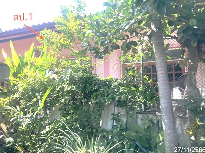 02 บ้านเดี่ยว | อ่างทอง โพธิ์ทอง ยางช้าย | 02-88-18282