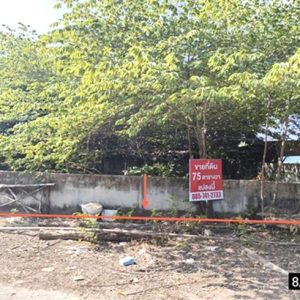 01 ที่ดินว่างเปล่า | ขอนแก่น เมืองขอนแก่น สาวะถี | 01-88-12615