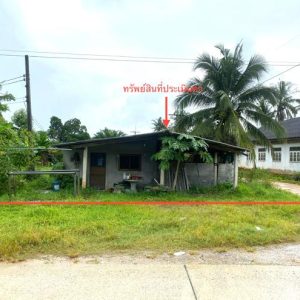 02 บ้านเดี่ยว | พัทลุง บางแก้ว โคกสัก | 02-88-18007