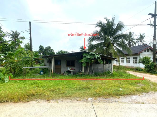 02 บ้านเดี่ยว | พัทลุง บางแก้ว โคกสัก | 02-88-18007