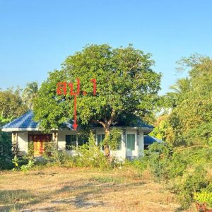 02 บ้านเดี่ยว | ราชบุรี บ้านโป่ง ลาดบัวขาว | 02-88-18076