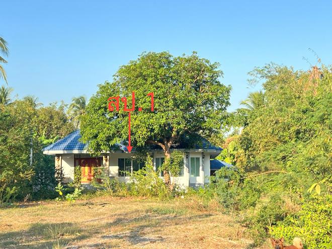 02 บ้านเดี่ยว | ราชบุรี บ้านโป่ง ลาดบัวขาว | 02-88-18076