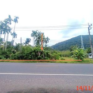 01 ที่ดินว่างเปล่า | สตูล ควนโดน ควนสตอ | 01-88-12449