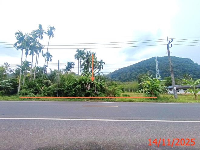 Real Estate from Banks _photo