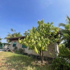 28 ร้านอาหาร | อุดรธานี เพ็ญ สร้างแป้น | 28-66-00046