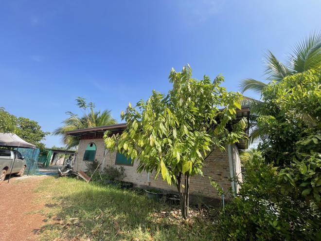 28 ร้านอาหาร | อุดรธานี เพ็ญ สร้างแป้น | 28-66-00046