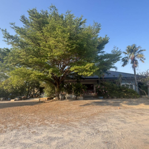 02 บ้านเดี่ยว | นครปฐม กำแพงแสน สระพัฒนา | 02-66-05844