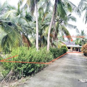 02 บ้านเดี่ยว | สงขลา ระโนด คลองแดน | 02-88-18082