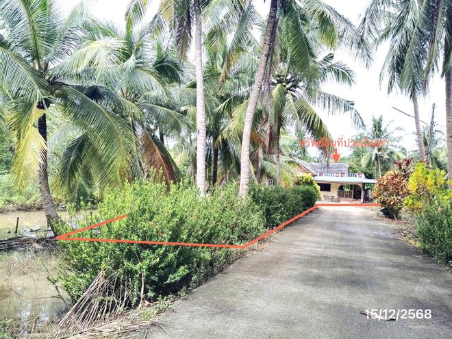 02 บ้านเดี่ยว | สงขลา ระโนด คลองแดน | 02-88-18082