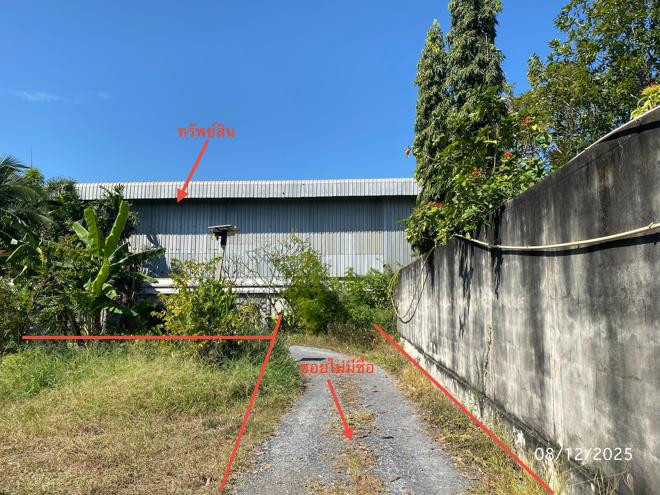 09 อาคารโรงงาน | นครปฐม บางเลน บางภาษี | 09-88-00904