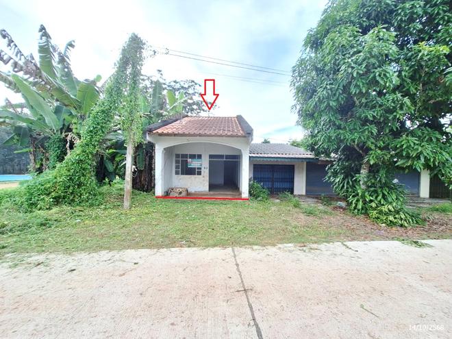 02 บ้านเดี่ยว | ตรัง ปะเหลียน บางด้วน | 02-88-17393