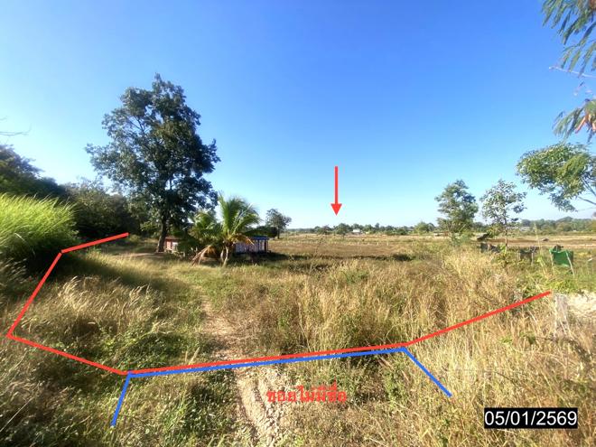 Real Estate from Banks _photo